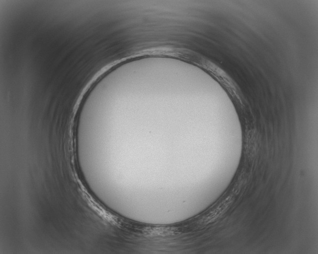 X0000083530808200702240016