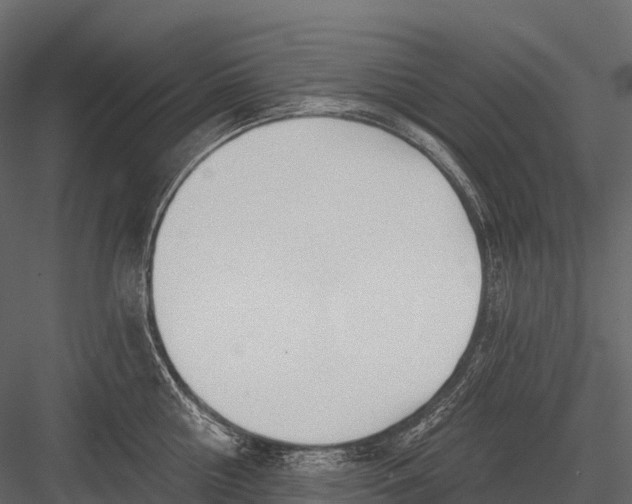 X0000083530810200702240016