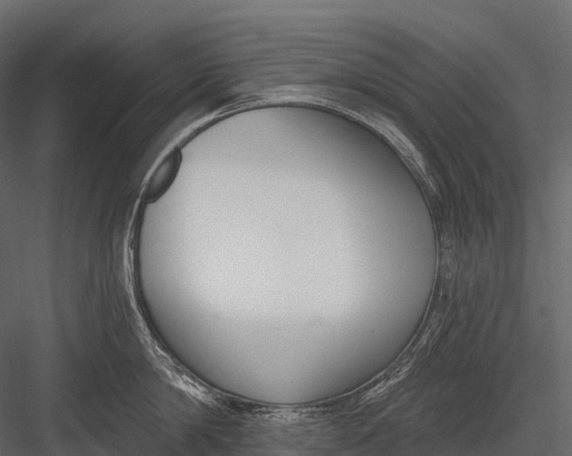 X0000083530814200702240016