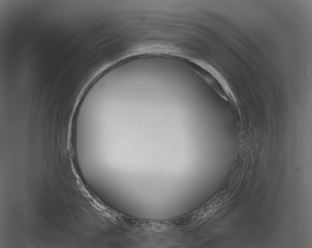 X0000083530815200702240016