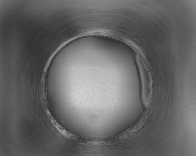 X0000083530816200702240016