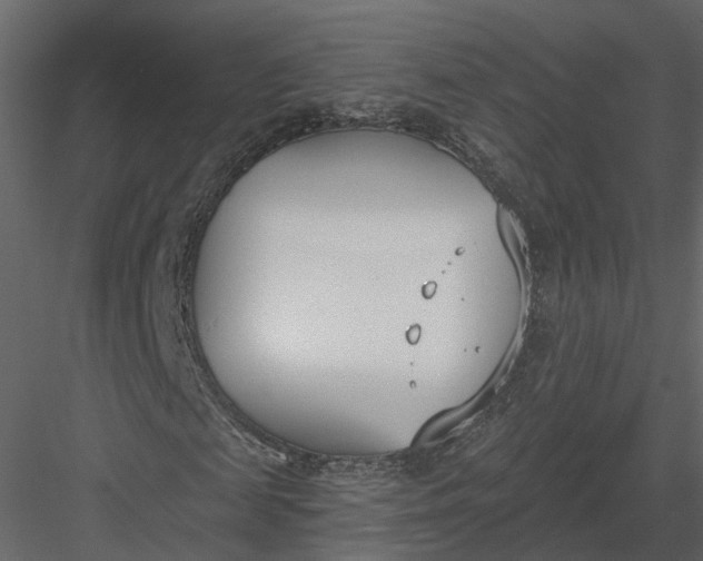 X0000083530817200702240015