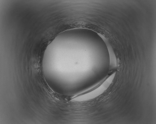 X0000083530818200702240015