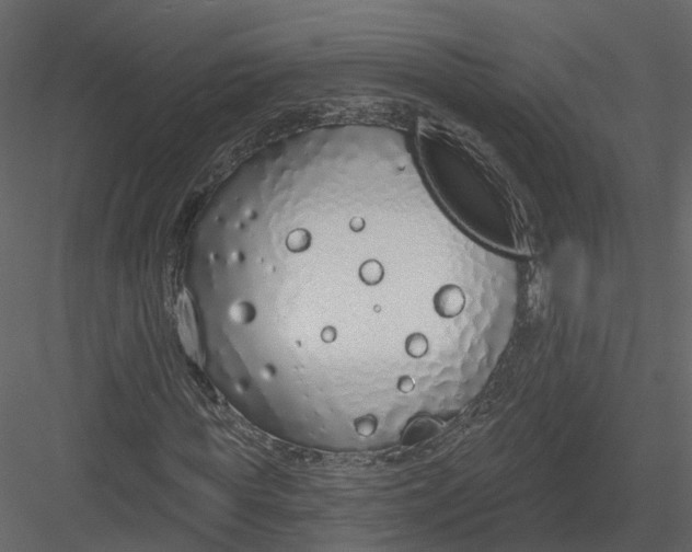 X0000083530819200702240015