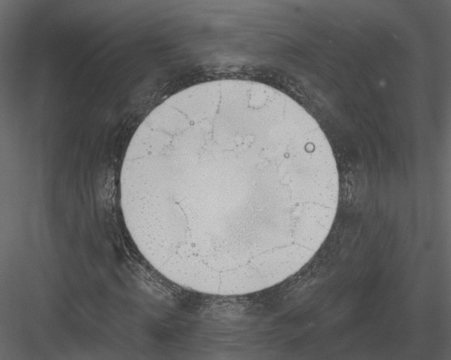 X0000083530820200702240015