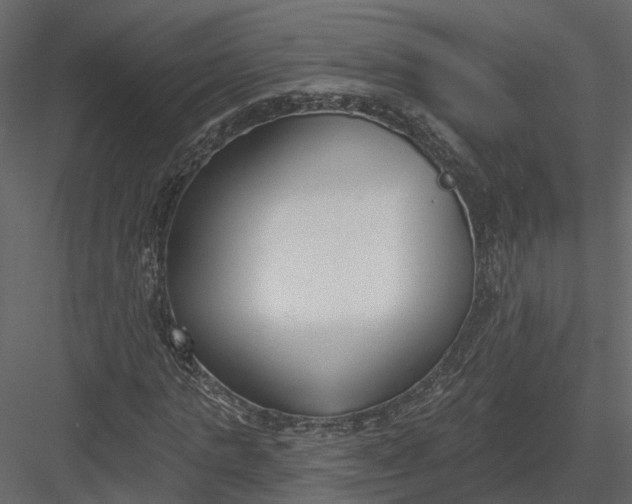 X0000083530821200702240016