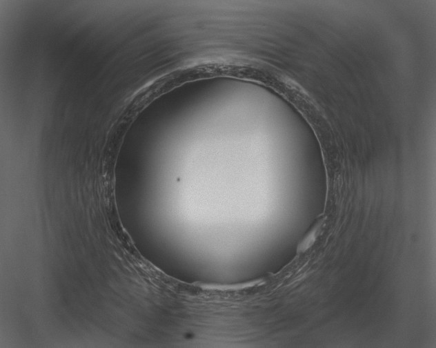 X0000083530822200702240016