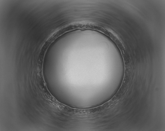 X0000083530823200702240016