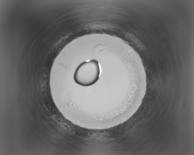 X0000083530824200702240016