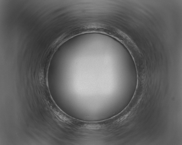 X0000083530825200702240016