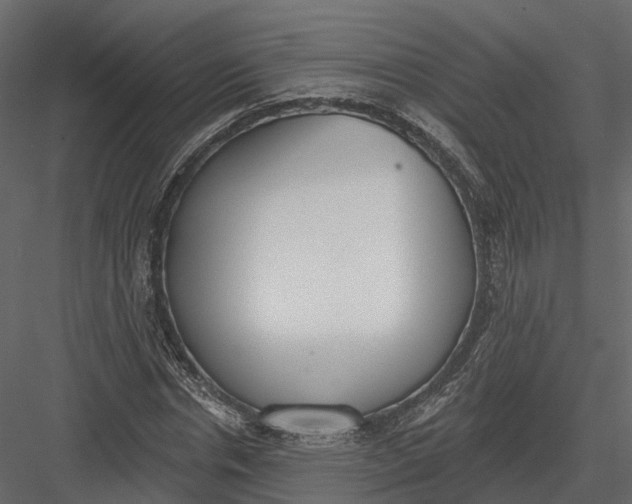 X0000083530826200702240016