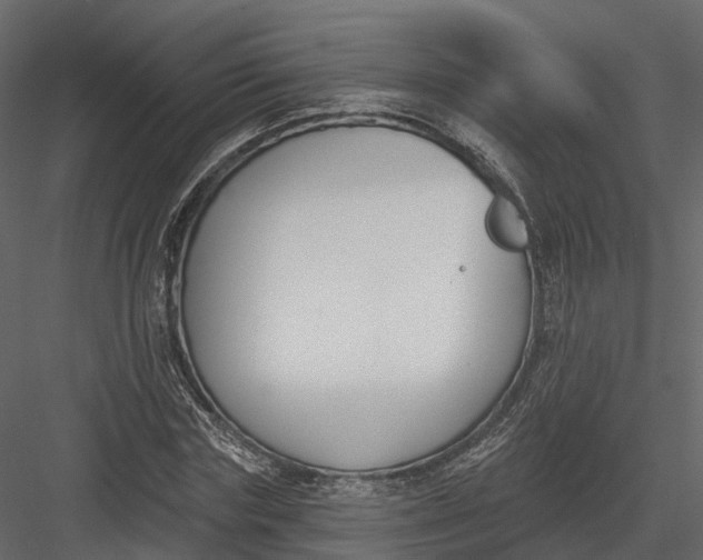 X0000083530827200702240016