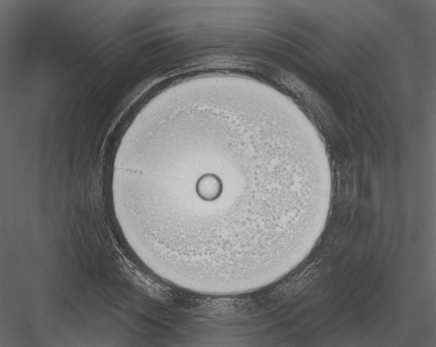 X0000083530828200702240016