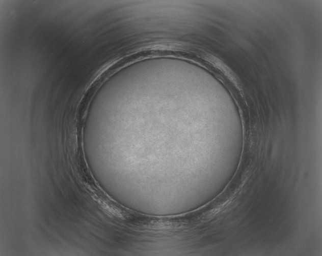 X0000083530829200702240016