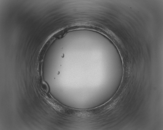 X0000083530830200702240016