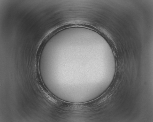 X0000083530831200702240016