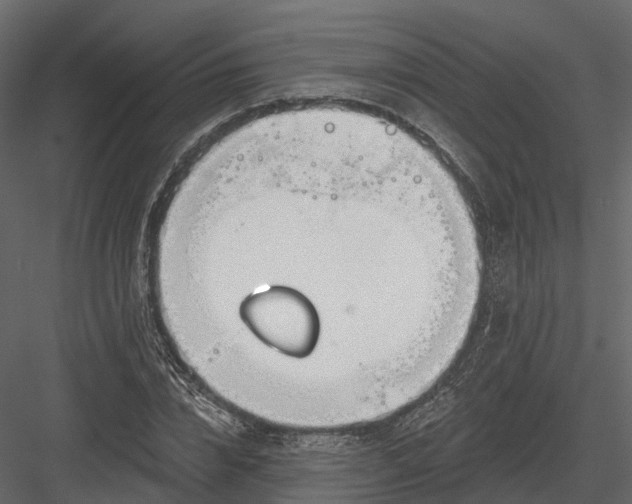 X0000083530832200702240016