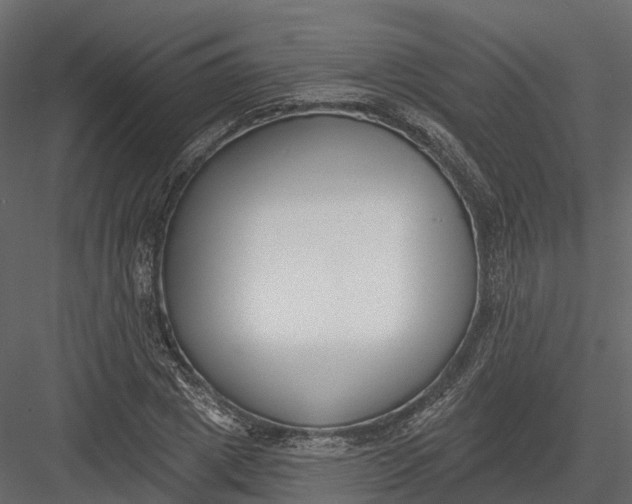 X0000083530833200702240016