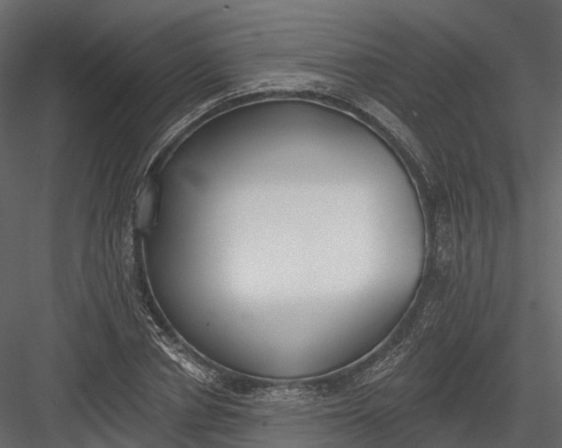 X0000083530834200702240016