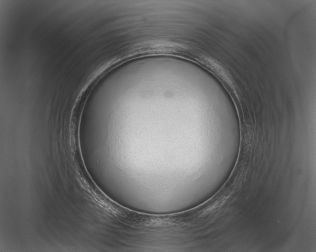 X0000083530835200702240016