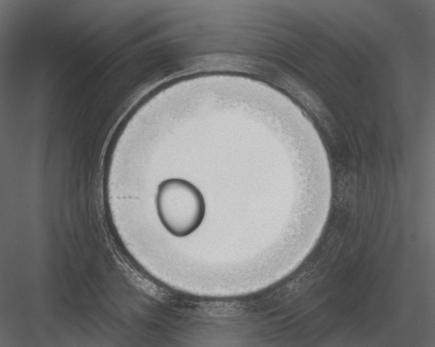 X0000083530836200702240016