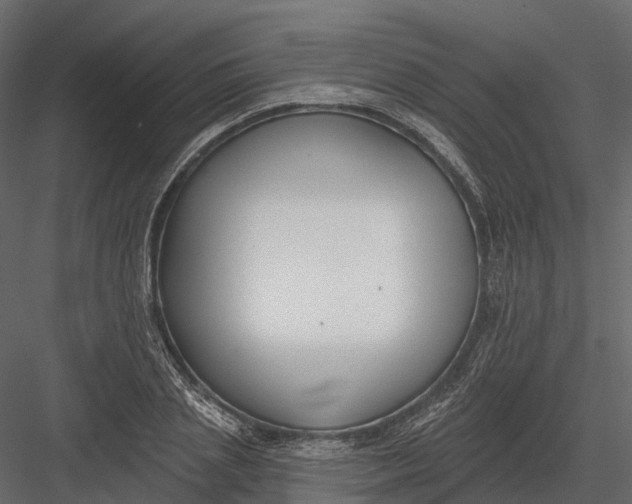 X0000083530837200702240016