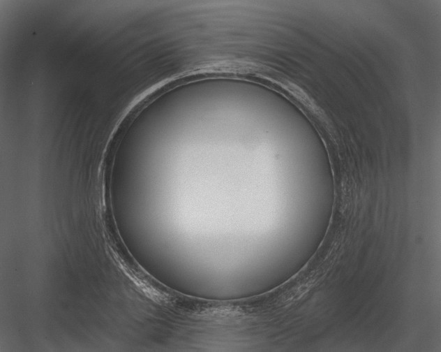 X0000083530838200702240016