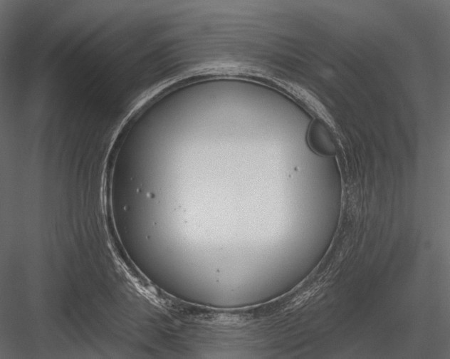 X0000083530839200702240016