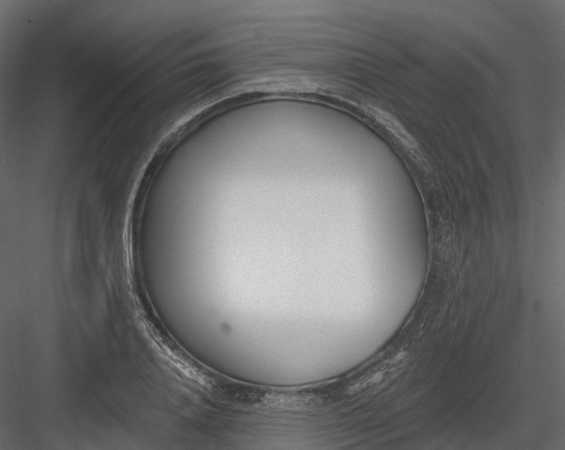 X0000083530840200702240016