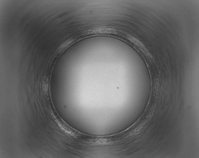 X0000083530841200702240016