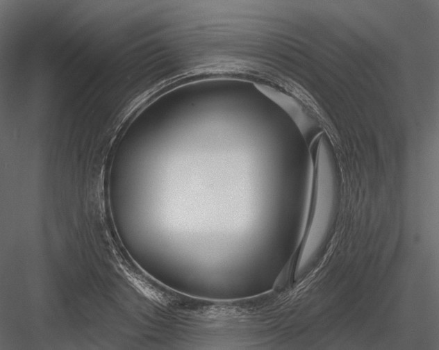 X0000083530842200702240016