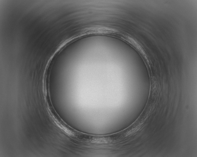 X0000083530843200702240016