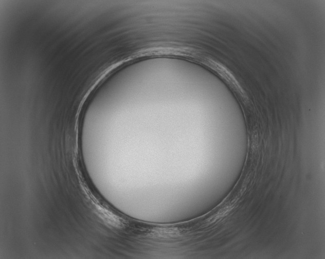 X0000083530844200702240016