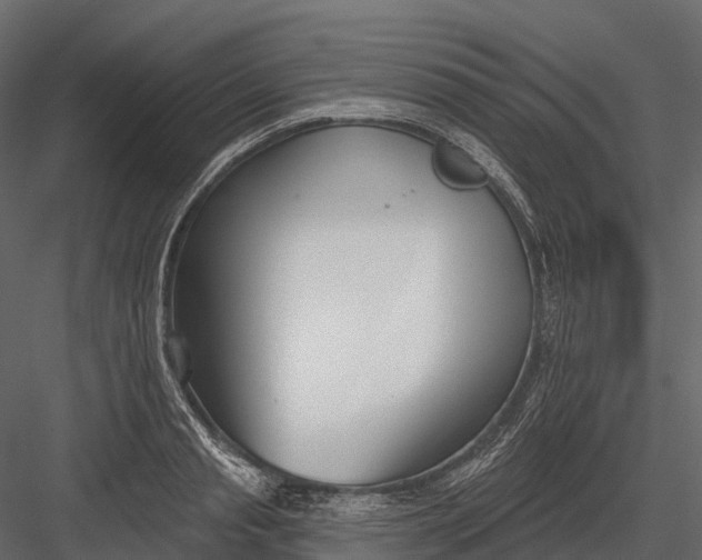 X0000083530845200702240016