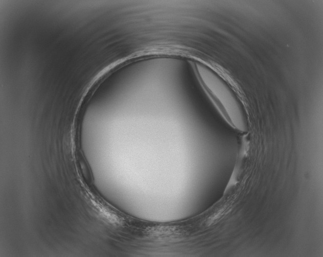 X0000083530846200702240016