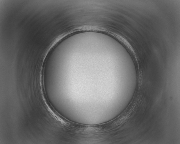 X0000083530847200702240016