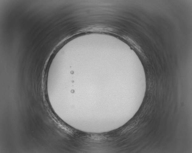 X0000083530848200702240016