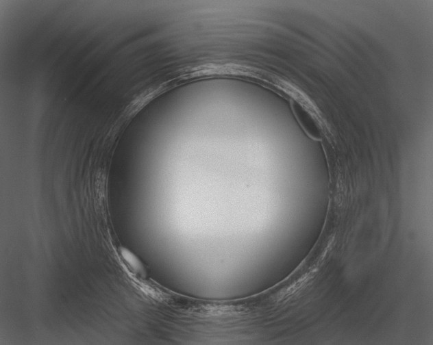 X0000083530849200702240016