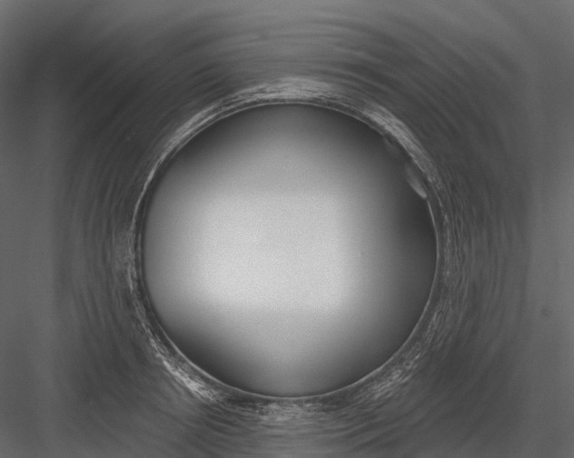 X0000083530850200702240016