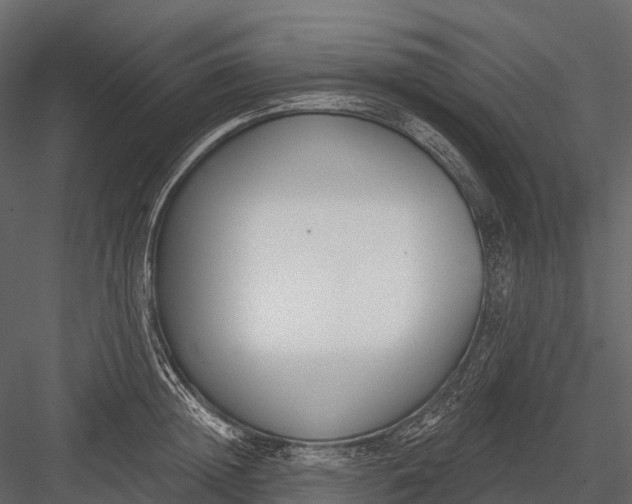 X0000083530852200702240016