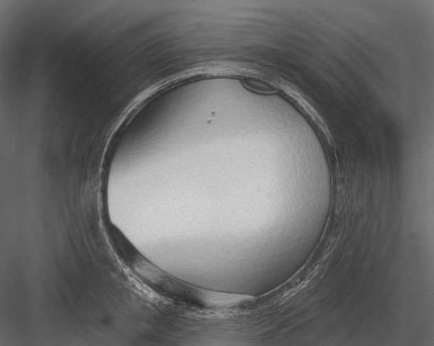 X0000083530853200702240016