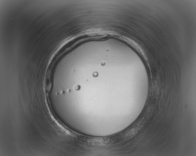 X0000083530855200702240016