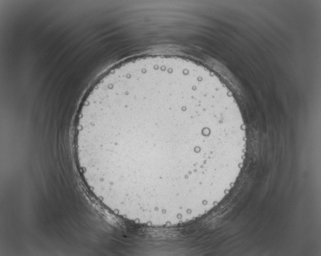 X0000083530856200702240016