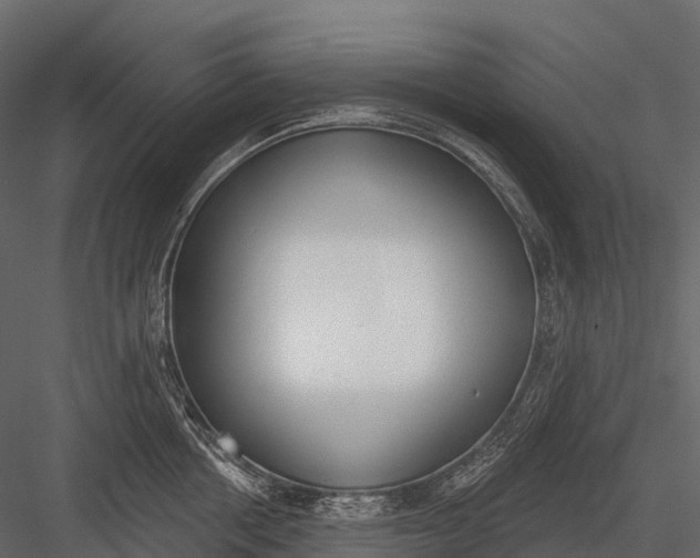 X0000083530858200702240016