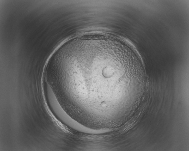 X0000083530859200702240016