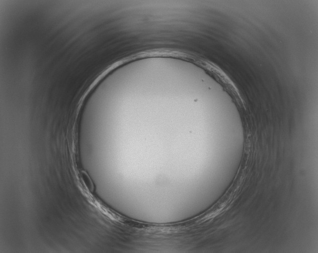 X0000083530860200702240016