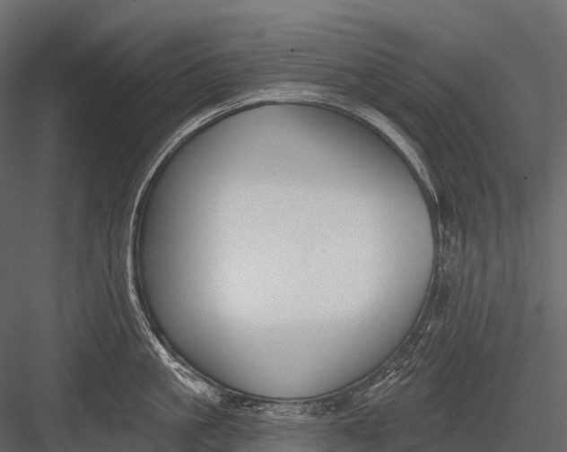 X0000083530861200702240016