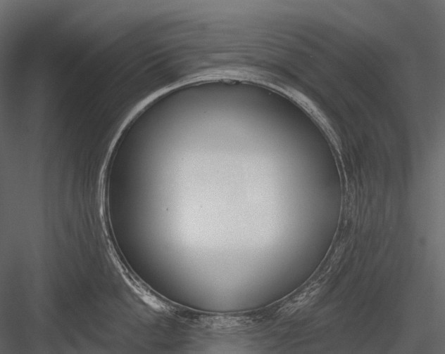 X0000083530862200702240016