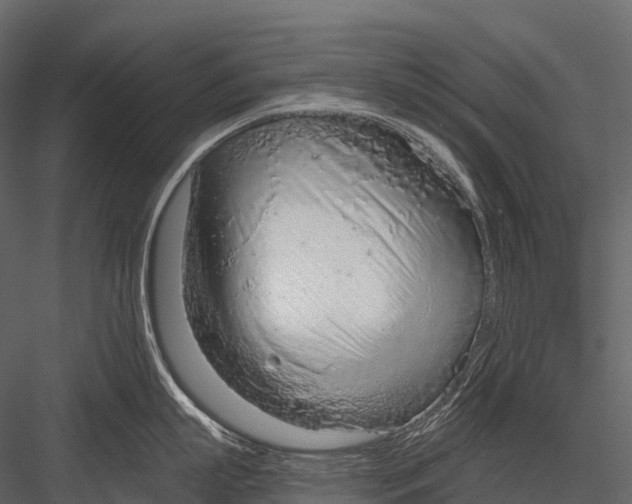 X0000083530863200702240016