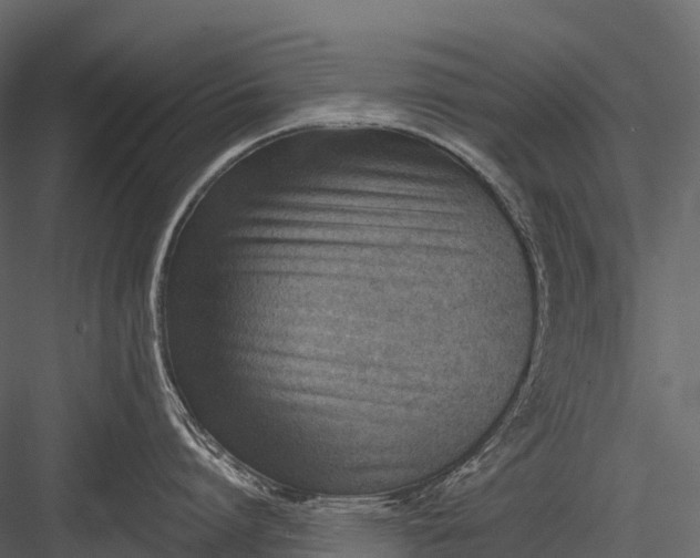 X0000083530864200702240016